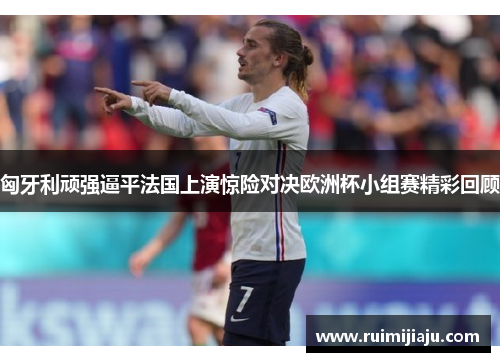 匈牙利顽强逼平法国上演惊险对决欧洲杯小组赛精彩回顾