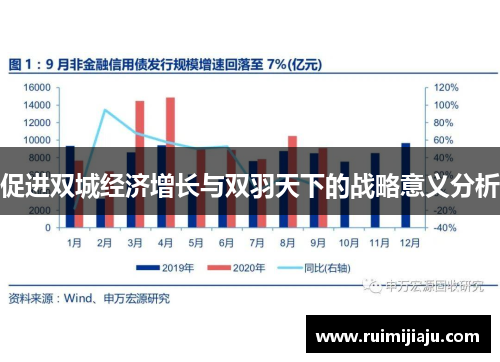 促进双城经济增长与双羽天下的战略意义分析