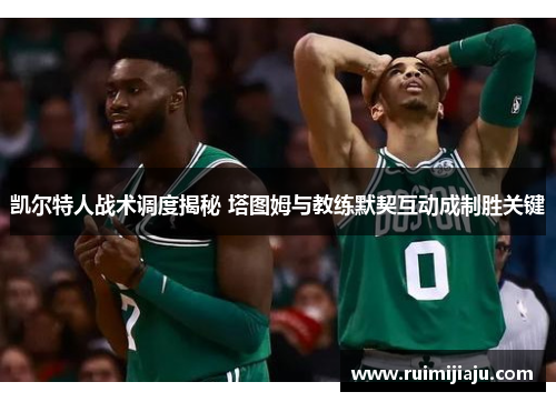 凯尔特人战术调度揭秘 塔图姆与教练默契互动成制胜关键
