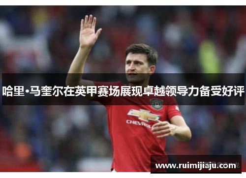哈里·马奎尔在英甲赛场展现卓越领导力备受好评