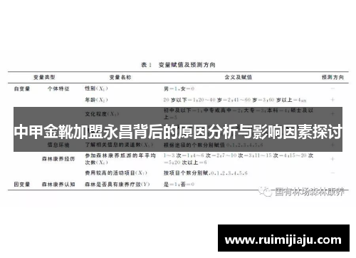 中甲金靴加盟永昌背后的原因分析与影响因素探讨
