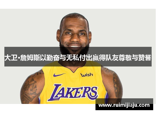 大卫·詹姆斯以勤奋与无私付出赢得队友尊敬与赞誉