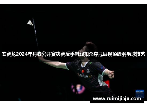 安赛龙2024年丹麦公开赛决赛反手斜线扣杀夺冠展现顶级羽毛球技艺
