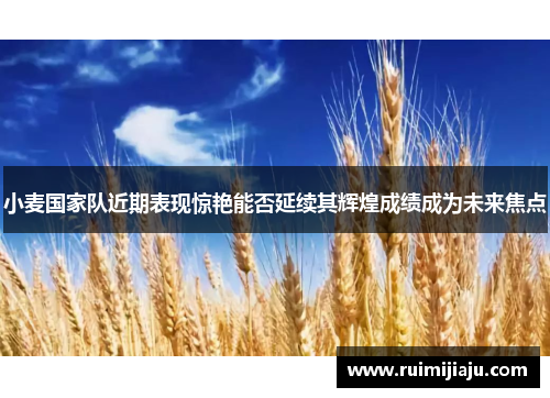 小麦国家队近期表现惊艳能否延续其辉煌成绩成为未来焦点