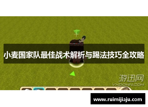 小麦国家队最佳战术解析与踢法技巧全攻略